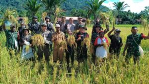 Pemerintah Percepat Penguatan Ketahanan Pangan Papua Demi Kesejahteraan dan Masa Depan Masyarakat