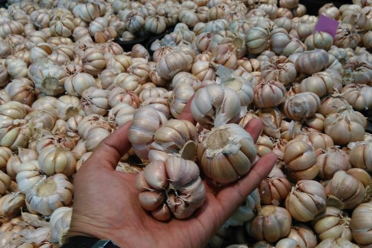 Pemerintah Kebut Swasembada Bawang Putih, Ketergantungan Impor Ditargetkan Turun