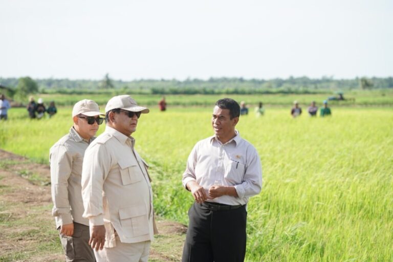 Percepat Kesejahteraan Masyarakat Papua Pemerintah Cetak 2000 hektar Sawah