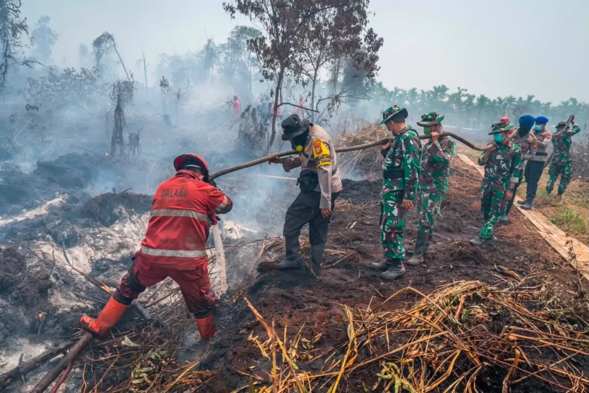 Karhutla Ditangani dengan Ilmu, Anggaran, dan Komando Terpadu