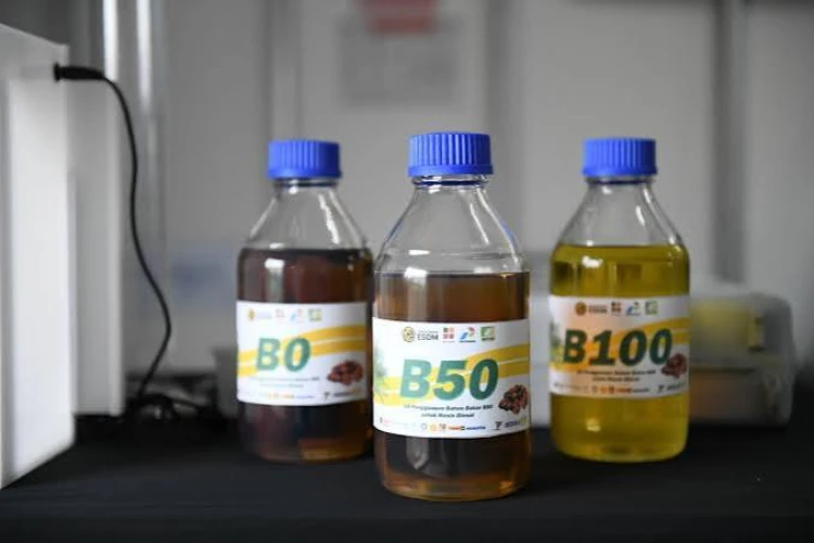 B50 dan Bioetanol Jadi Momentum Penguatan Energi Berbasis Produksi Nasional