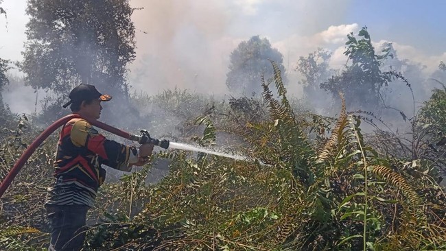 Pemerintah Siapkan Anggaran Tambahan Percepat Penanganan Karhutla