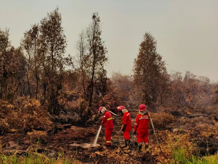 Pemerintah Siagakan Langkah Antisipatif Cegah Dampak El Nino