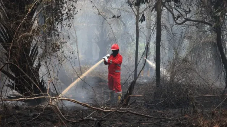 Karhutla Layak Dipandang sebagai Terorisme Ekologi