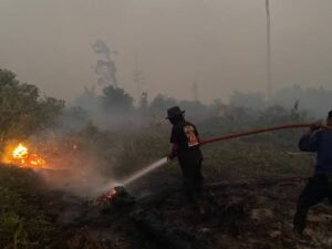 Pemerintah Tegaskan Penegakan Hukum Karhutla Tidak Pandang Bulu